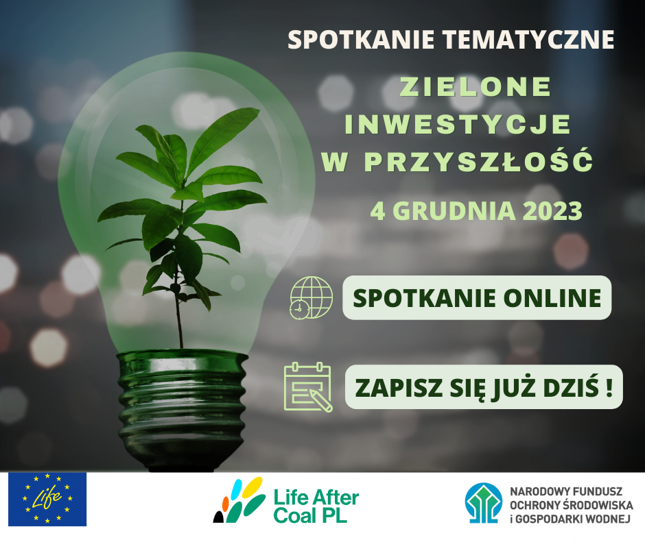 zielone MŚP